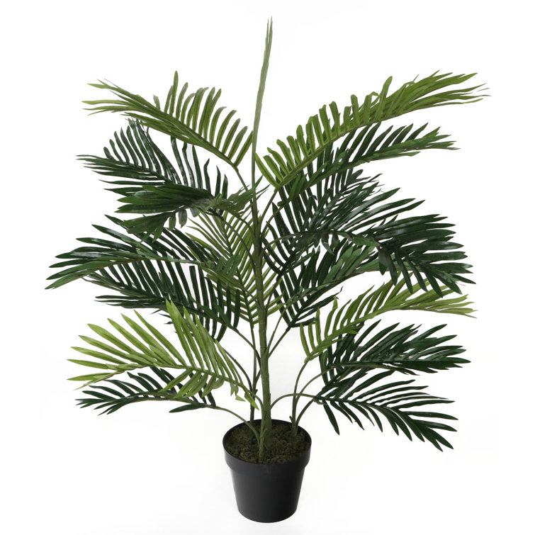 Bay Isle Home Artificial Floor Palm Tree in Pot & Reviews Wayfair